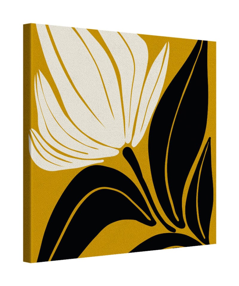 Sunlit Petals
