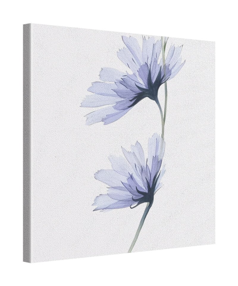 Silent Bloom