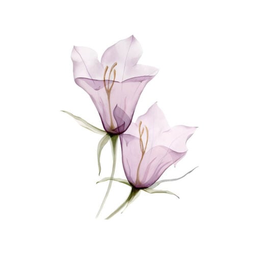 Whispered Grace - Image 5