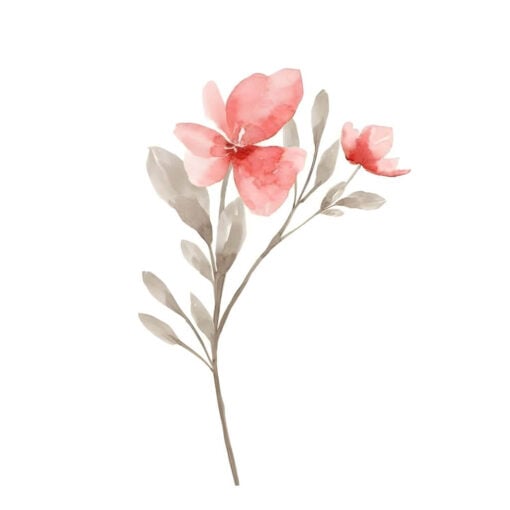 Pale Drift - Image 5