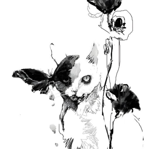 Midnight Cat - Image 5