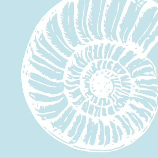 Shell Light - Image 5