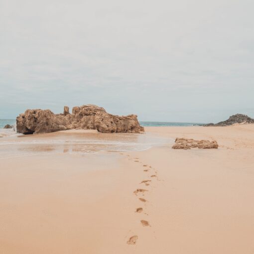 Coastal Fade - Image 5
