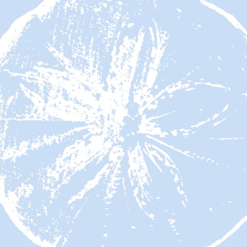 Tidal Coin - Image 4
