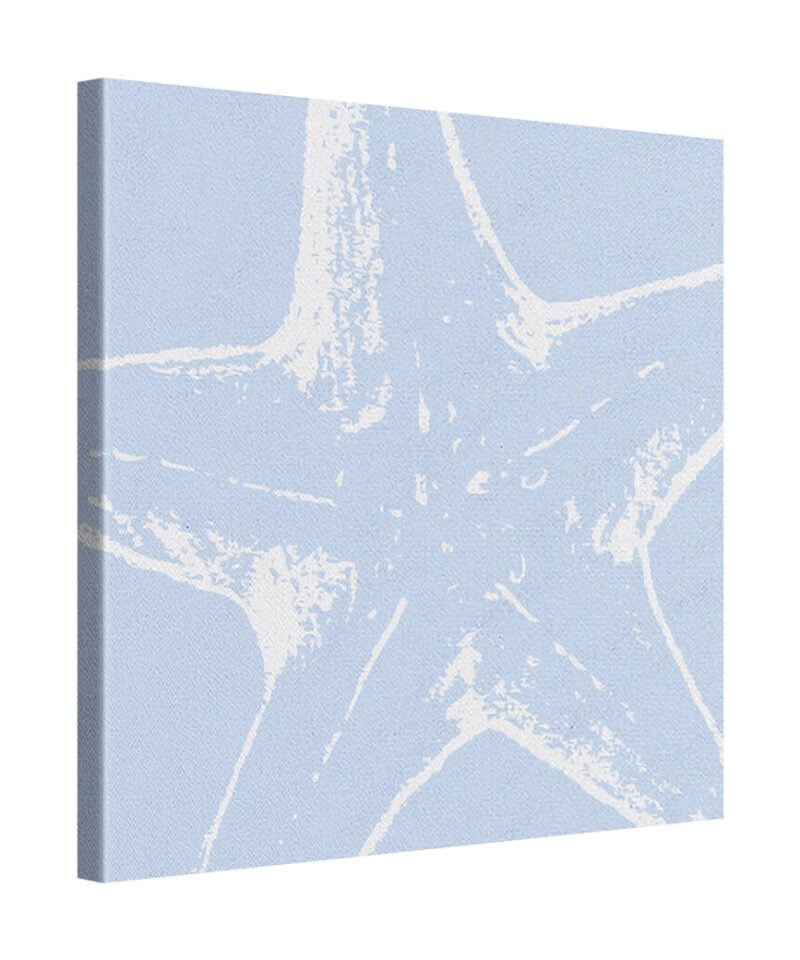 Ocean Bloom