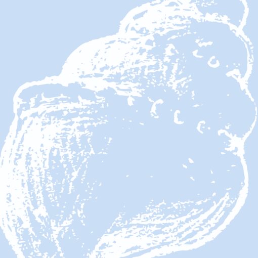 Blue Spiral - Image 4