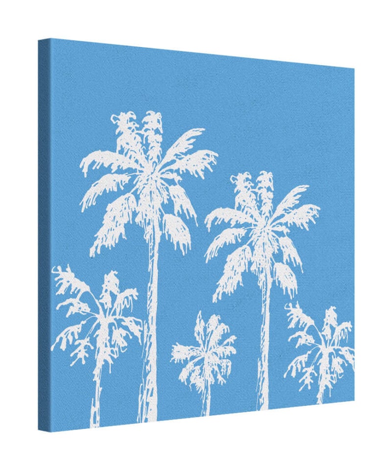 Ocean Palm
