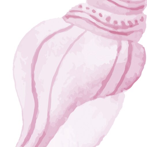 Red Shell - Image 4