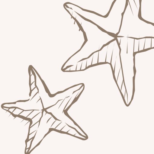 Star Echo - Image 4