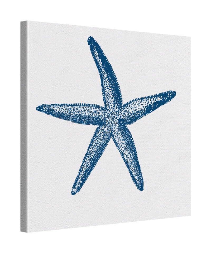Sea Bloom