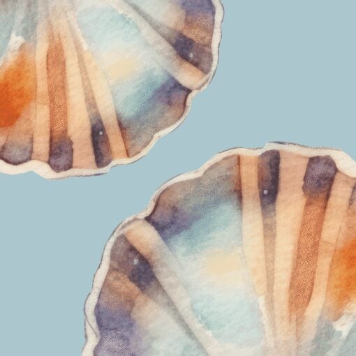 Shell Still - Image 5