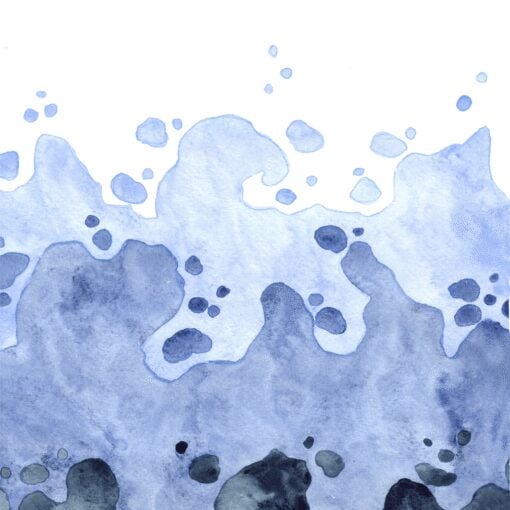 Coastal Echo - Image 5