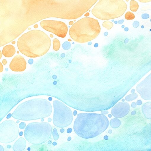 Coastline Ease - Image 5