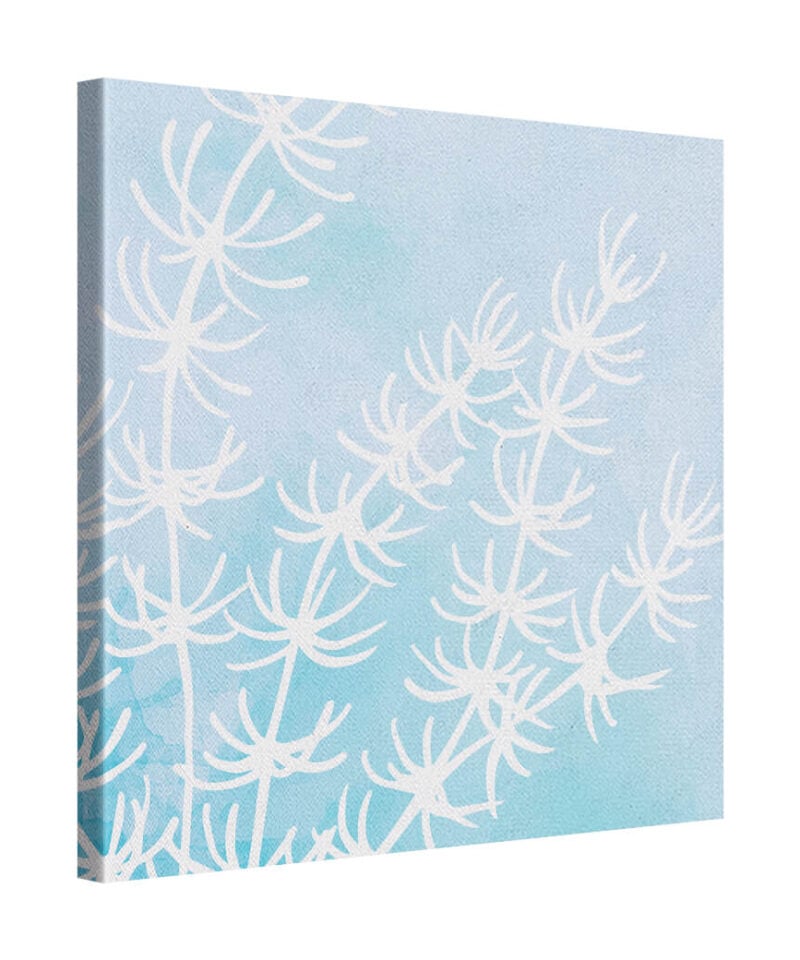 Reef Trace