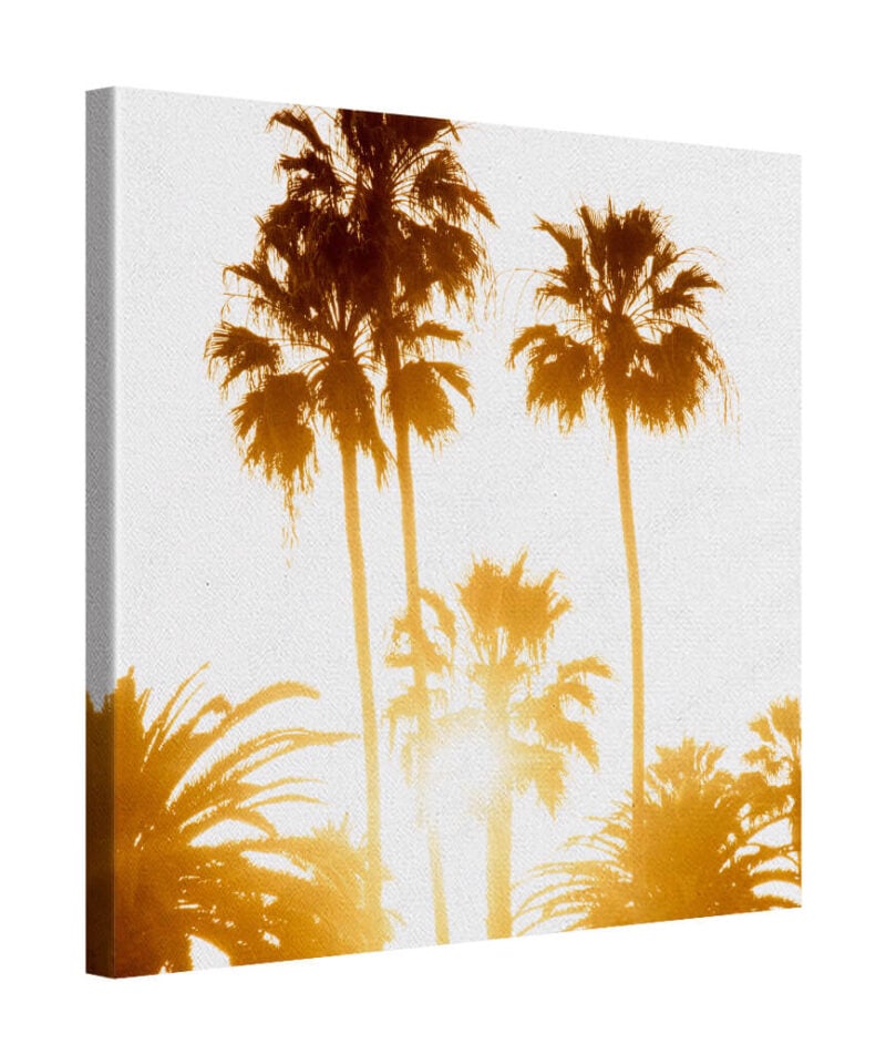 Rustic Palm
