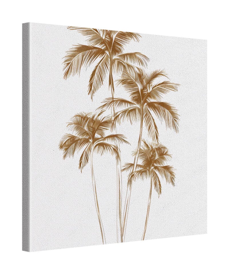 Palm Still