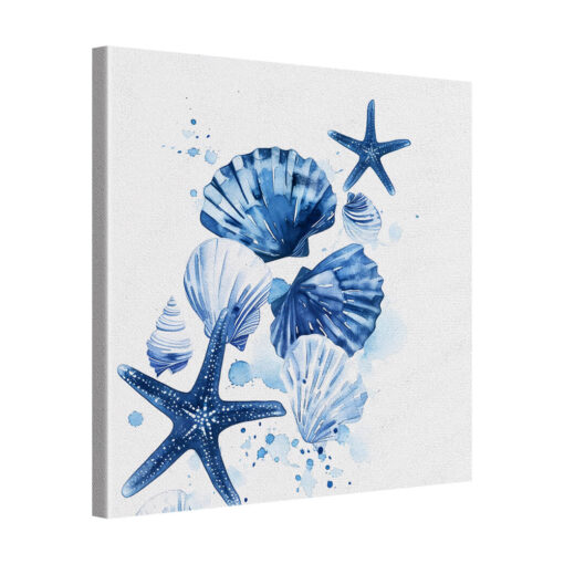 Shell & Star