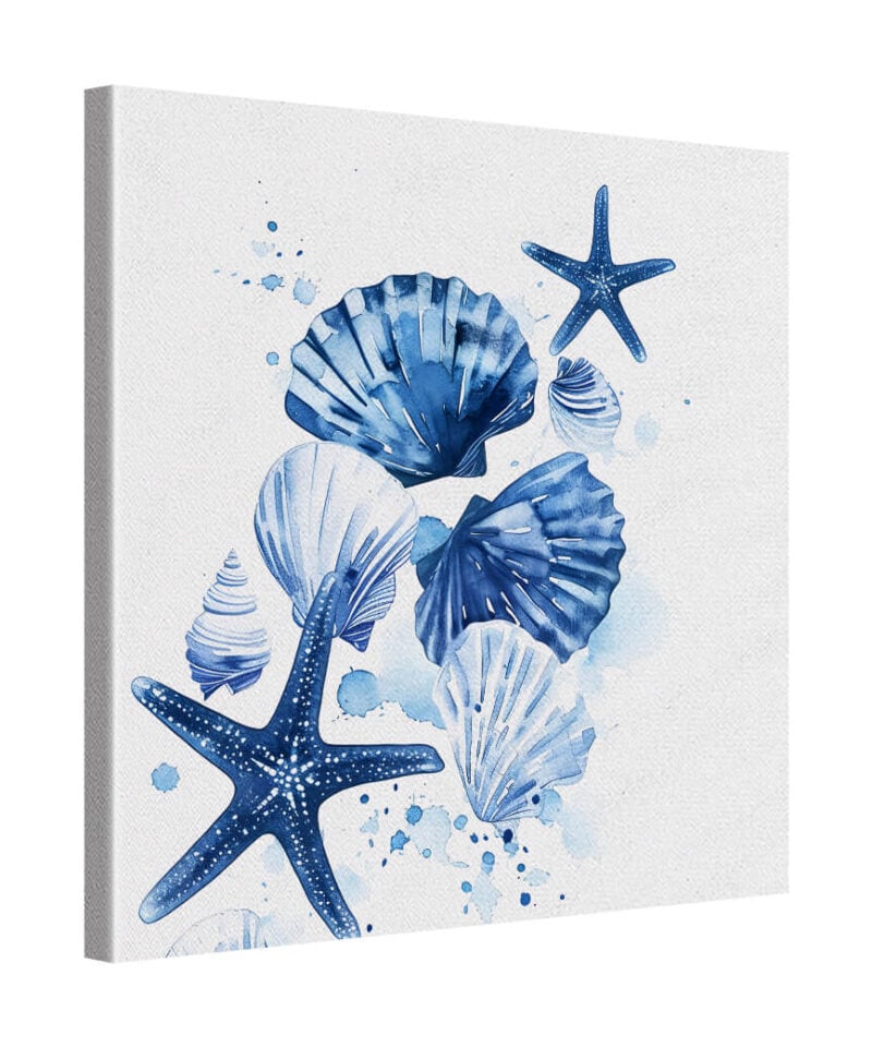 Shell & Star