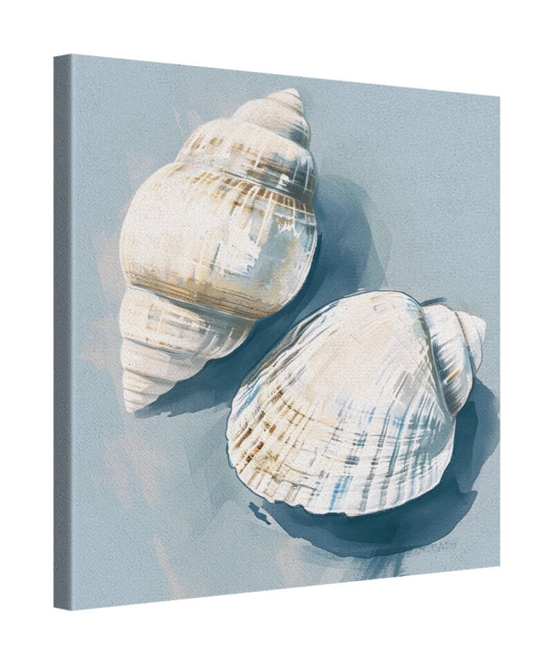 Shell Frame