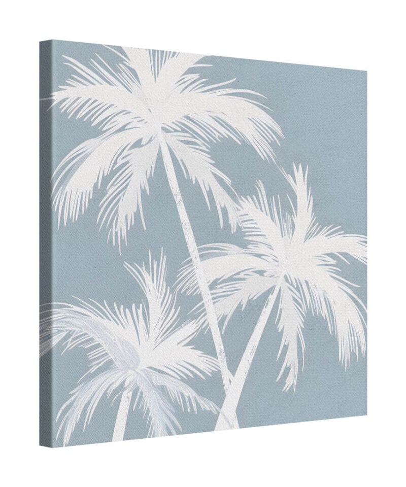 Tide Palm