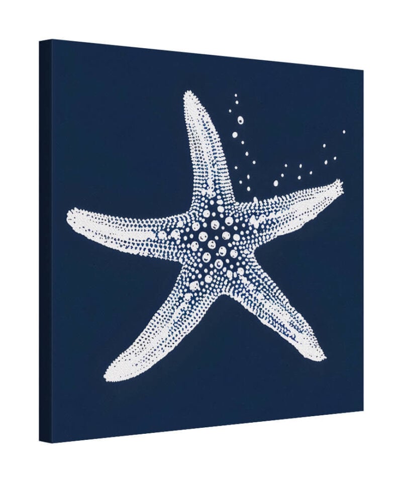 Sea Star