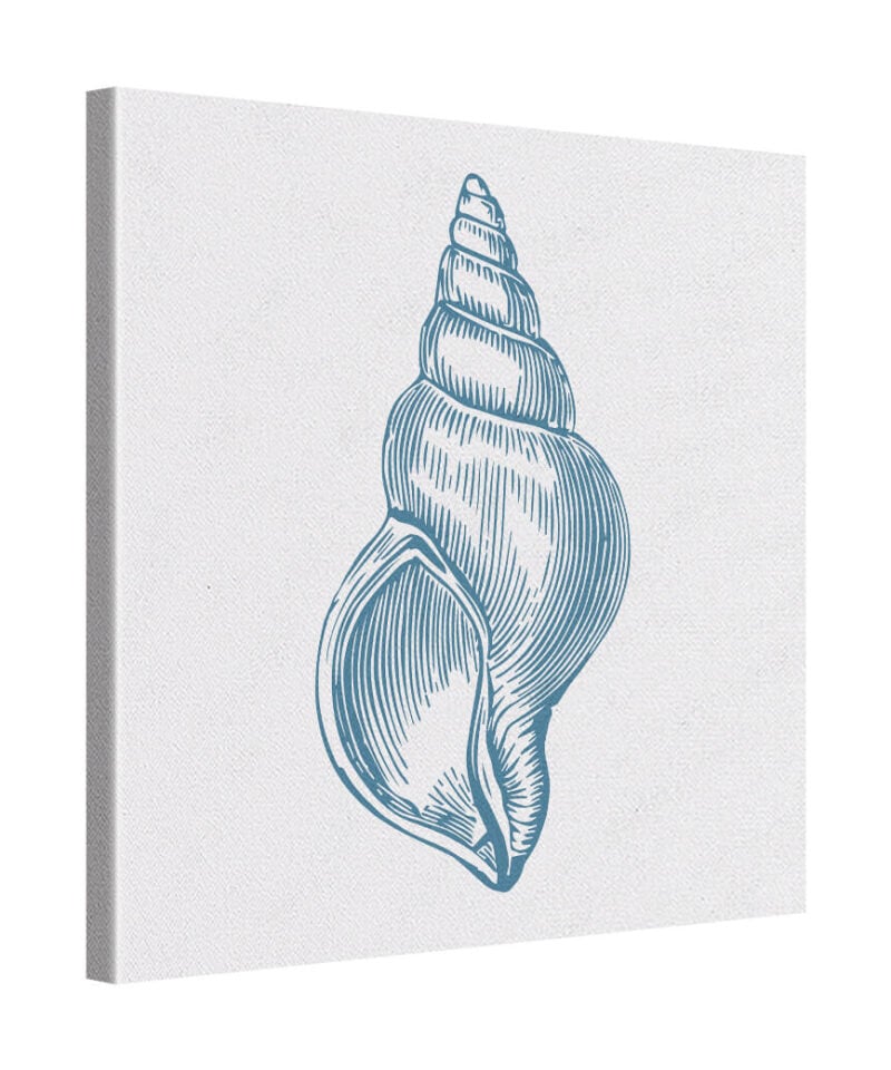 Ocean Fossil