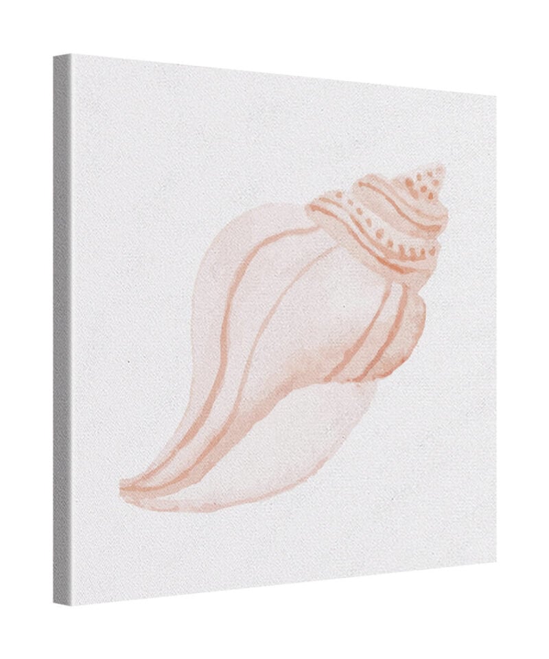 Shell Curve