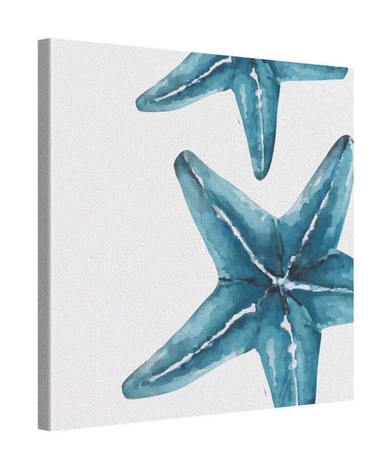 Tide Star