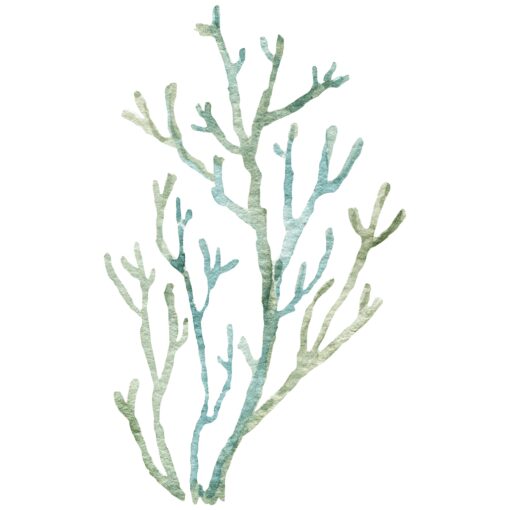 Coral Form - Image 4